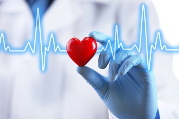 Аритмолога-кардиолога прием | клиники Семашко
